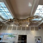 2023OTRA_740 (May 07, 2023)